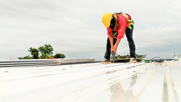 Best Metal Roofing Installation  in Sun Valley, NV