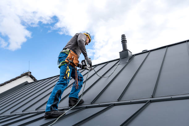 Best Roof Ventilation Installation  in Sun Valley, NV